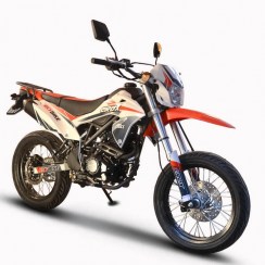 SKYBIKE CRDX-200 motard